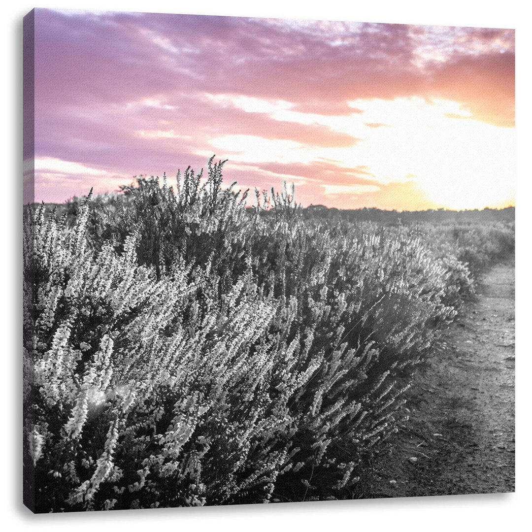 Leinwandbild Lavender Landscape at Sunset