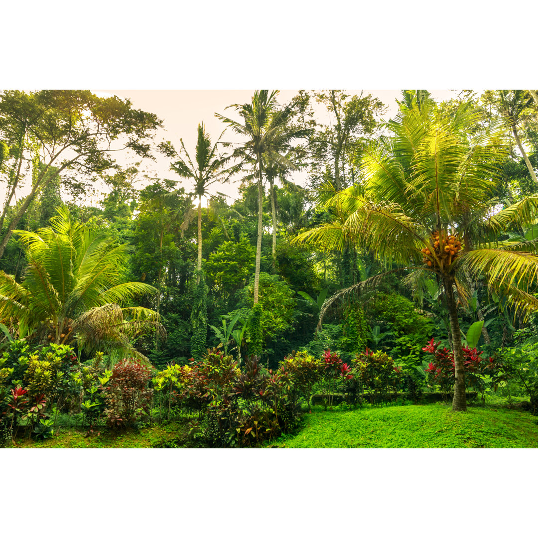 Leinwandbild Tropical Garden Paradise Relax, Grüne Kokosnuss Palmen Laub Schatten