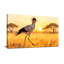Animaux, coucher de soleil, savane, marche d'oiseaux, reproduction d'art-1546627690