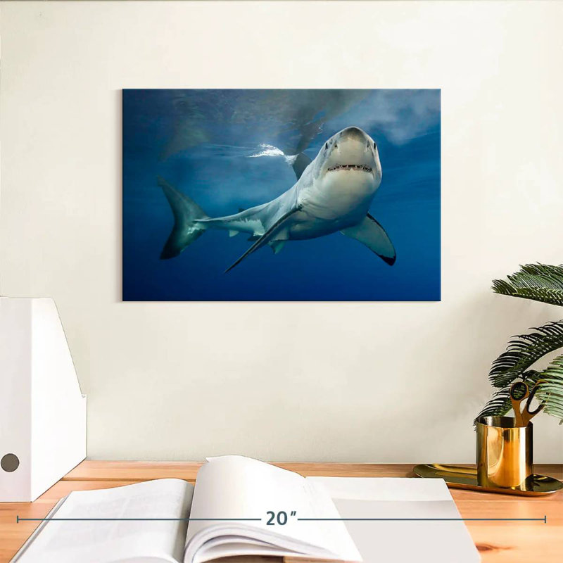 Brampt Shark Pursuit, 8" H x 12" W