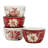Winters Joy 16pc Dinnerware Set