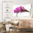 Harnek Fresh Orchid Flowers