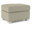 Evolution Pumice