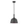 Hempstead 1 - Light Single Pendant