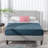 Rajneet Upholstered Platform Bed-1006865181-972576502