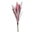 Gladiola Arrangement