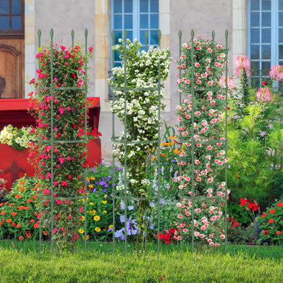 Anjila 143 cm H x 31 cm W Obelisk Trellis