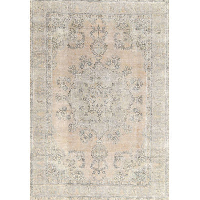 Performance Wool Oriental Indoor Rug