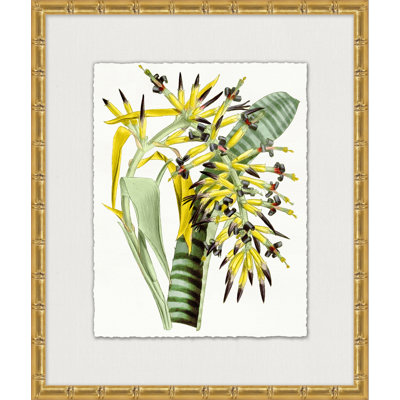 Sunny Botany 6 Painting