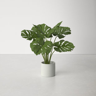 5 ft. Artificial Tree Fake Monstera Deliciosa Plant in Pot with 15 Split  Leaves Faux Plant for Indoor Outdoor