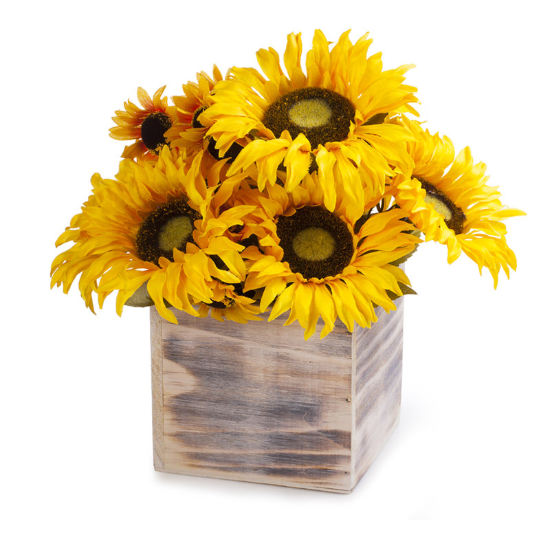 Arrangement floral tournesol en pot