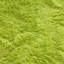 Tapis vert lime Plush-24774969