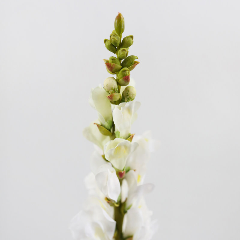 Real Touch Snapdragon Faux Floral, Cream White