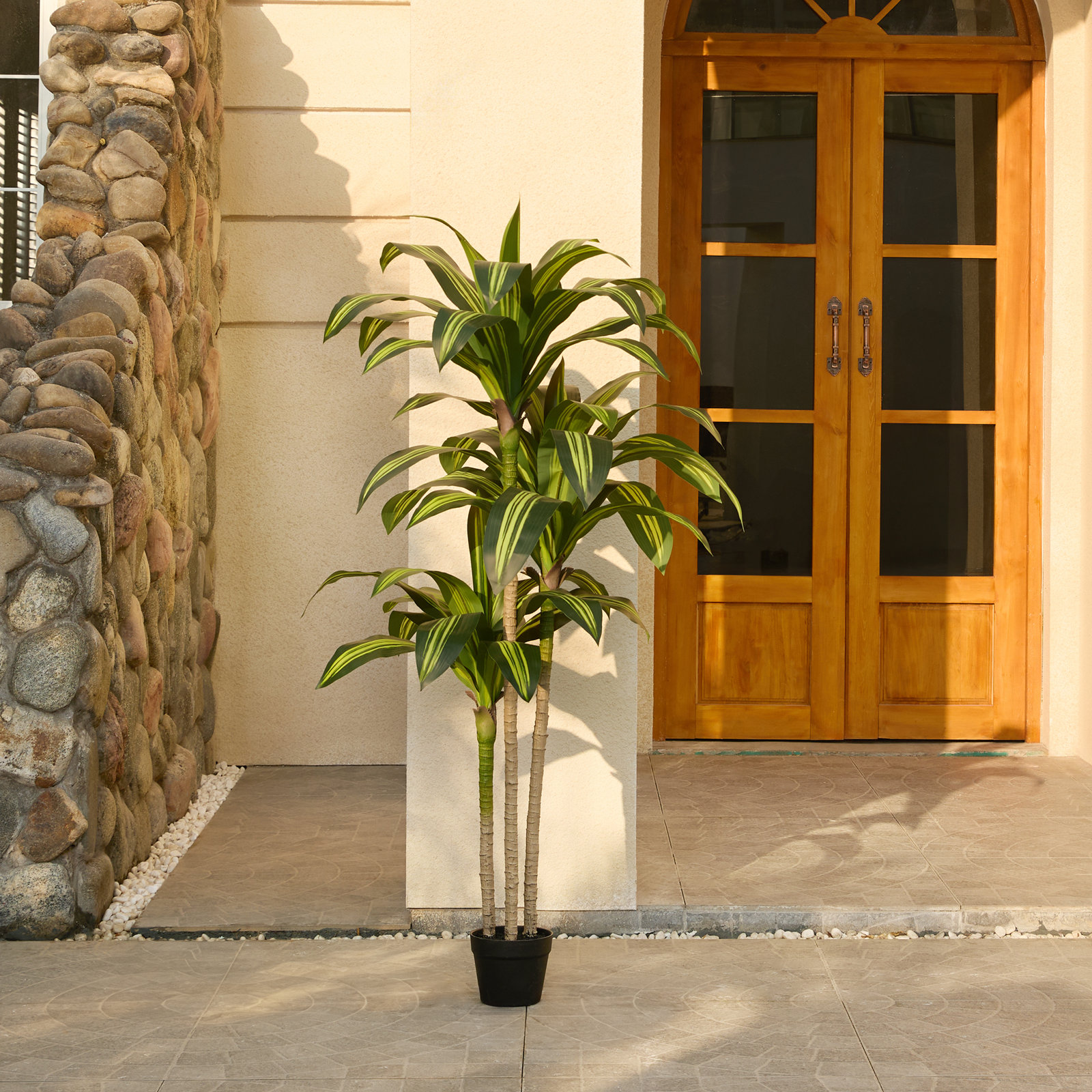 Adcock 72" Dracaena Tree in Pot, Yellow, 60" H x 22" W x 22" D