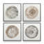 Rings of Time Set of 4 Canvas Prints in a Maple Frame, 16" x 16"-109107825-109107822