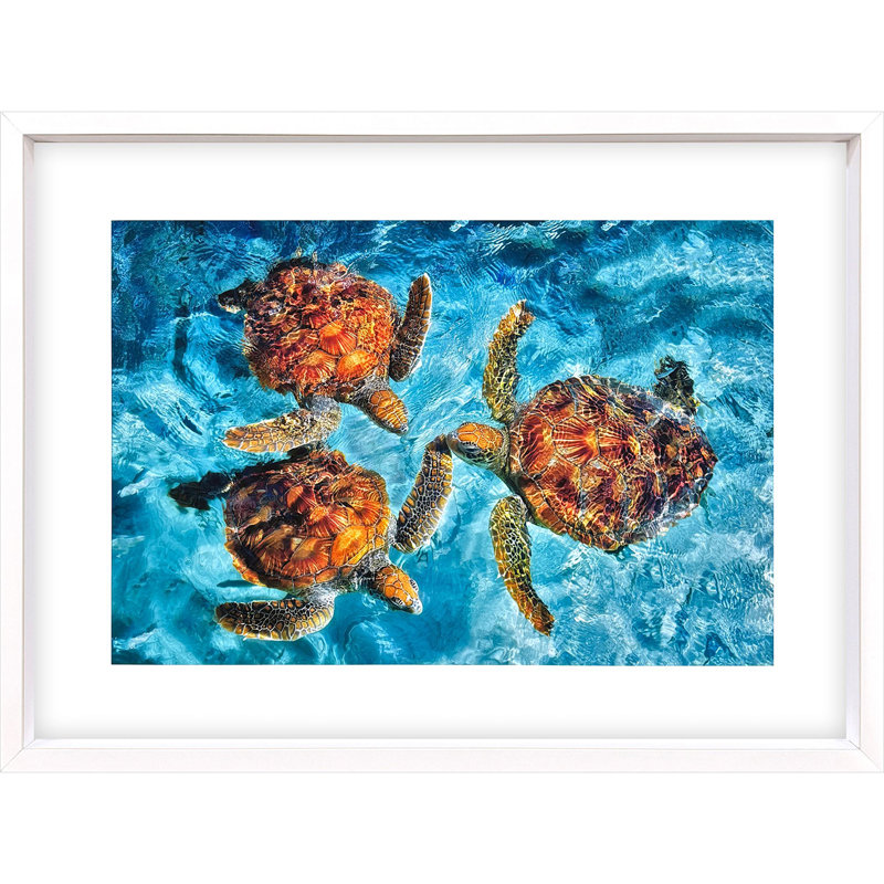 Ocean Turtles Framed Art