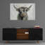 «Highland Cow Horizontal» par Silvia Vassileva, art mural en verre acrylique-589578135