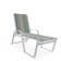 Holna Outdoor Rust-Resistant Metal Chaise Lounge