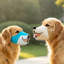 Douce caricature imprimée respirante anti-morsure pour chien