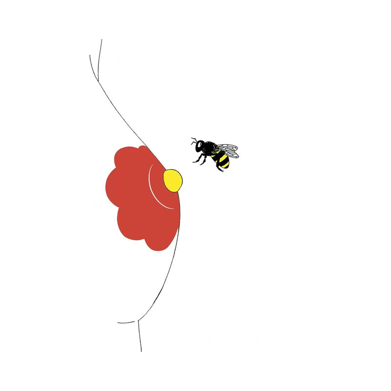 Pollinate by Filippo Spinelli - Print on Canvas, Wrapped Canvas, 30.48 cm H x 30.48 cm W