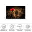Impression sur toile par Fabien BRAVIN-1575953280