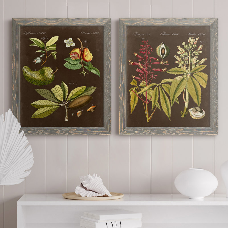 «Breadfruit On Suede», ensemble de 2 reproductions d'art graphique encadrées, H 20 po x l 17 po x P 1 po, Pas de tapis