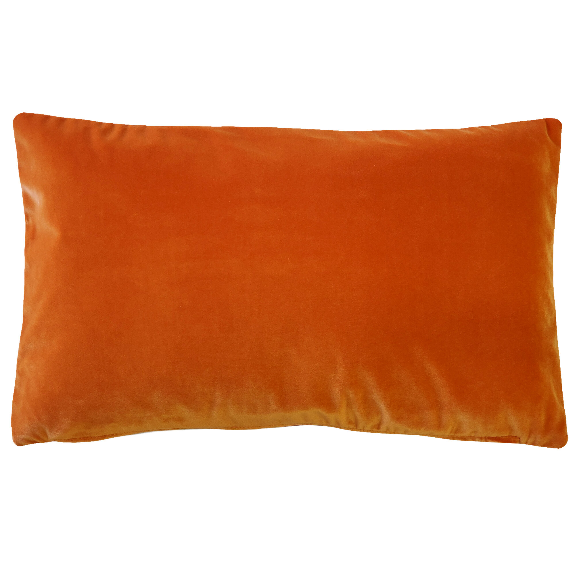 https://assets.wfcdn.com/im/19227955/compr-r85/1709/170920868/gaije-velvet-throw-pillow.jpg