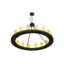 16 - Light Chandelier