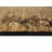 Calica Rug-974270046