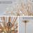 20-Light 35.43'' Dandelion Sputnik Crystal Sphere Chandelier