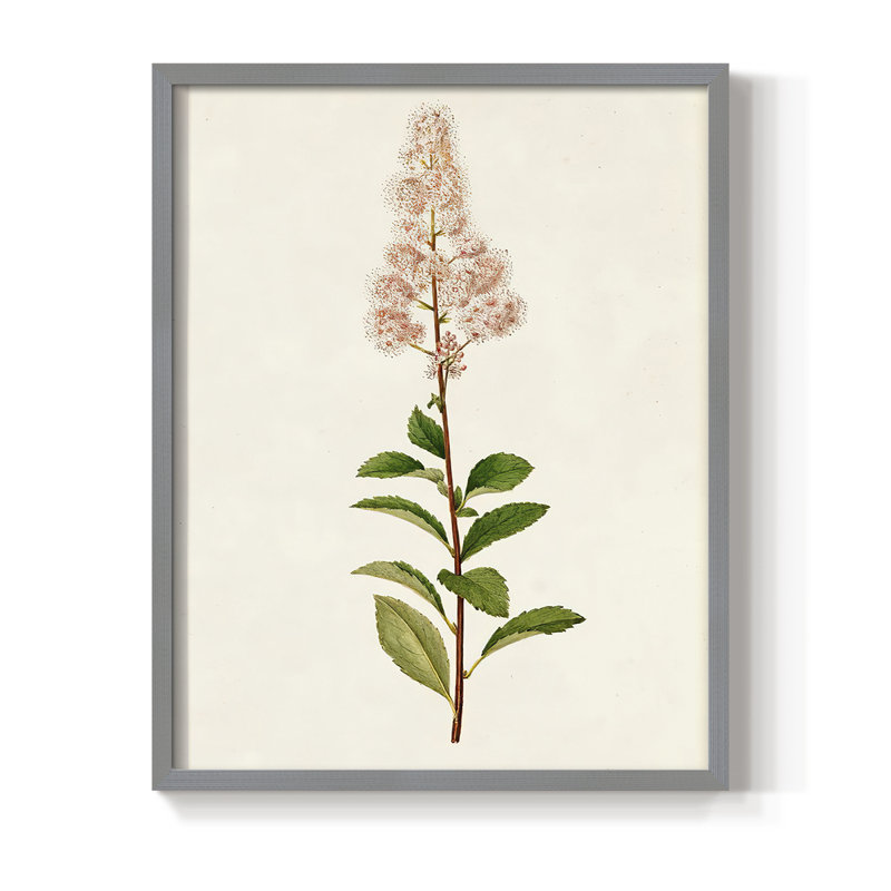 Mauve Garden Flowers II, reproduction encadrée - bois massif, Gris, H 11 po x l 9 po