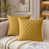 Ochre