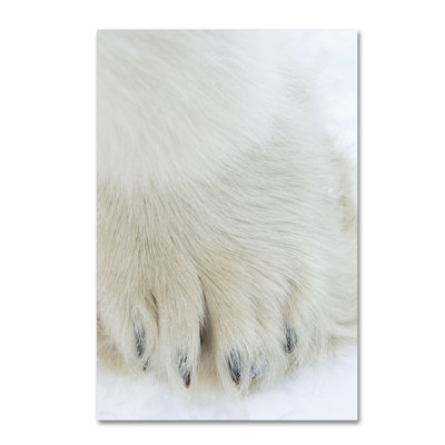 'Polar Bears' Photographic Print on Wrapped Canvas