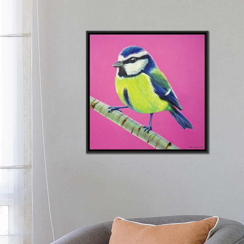 «Blue Tit» par Kirstin Wood, impression sur toile tendue, H 18 po x l 18 po x P 1,5 po, Toile encadrée noire, Pas de tapis