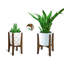 Cameca Plant Stand