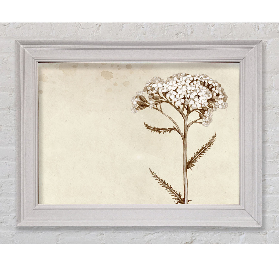 Floral Beauty Sepia - Druck