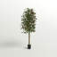 Arbre à feuillage 66 po en pot-2142900437
