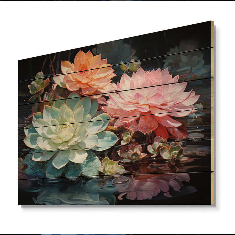 Kaluda Succulents Succulent Reflections on Wood Print, H 30 po x l 40 po x P 0,78 po