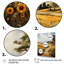 Espagne, champs dorés méditerranéen IV - impressions murales de ferme-91292603-91292604