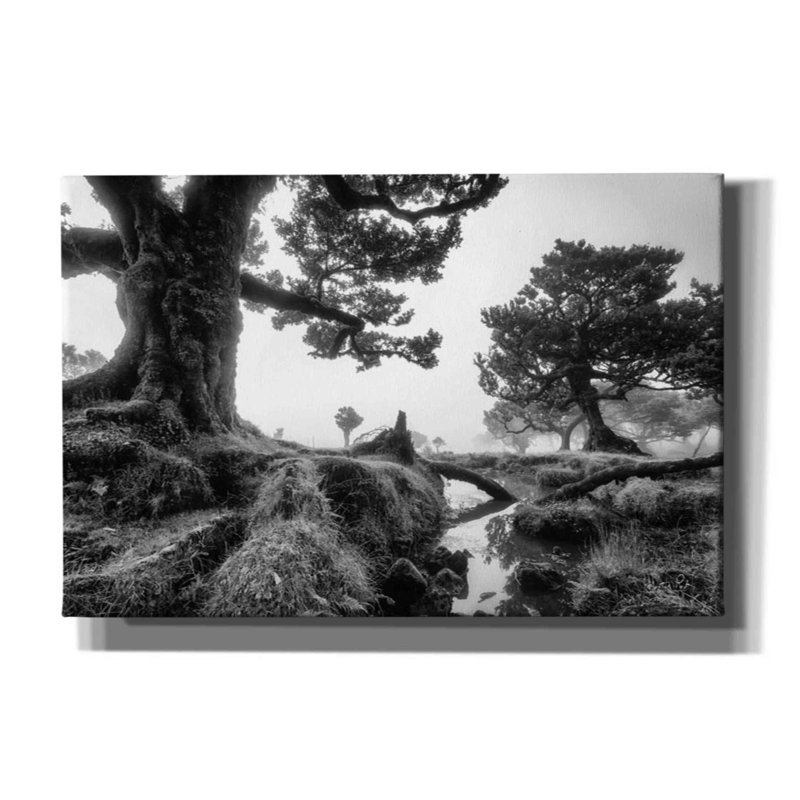 «Black and White Fanal» par Martin Podt - photographie sur toile tendue, H 40 po x l 60 po x 1,5 po