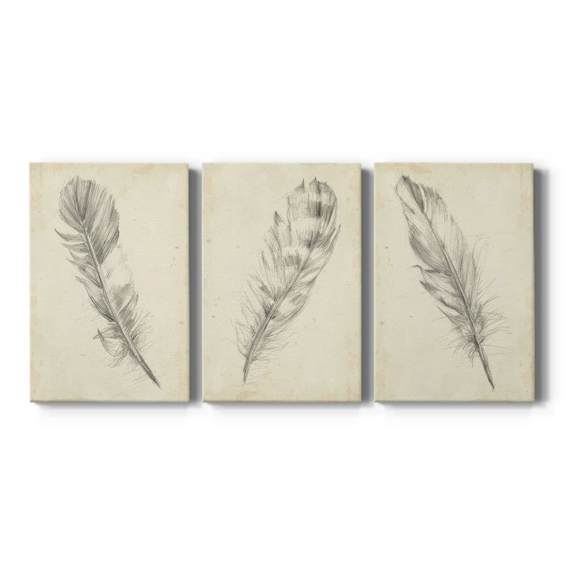 Croquis de plumes I - Toile tendue avec châssis sur mesure - 3 pièces, H 12 po x l 24 po