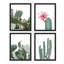 Blooming Flower Desert Cactus, ensemble de 4 décorations murales encadrées 4 pièces-93012167-93012170