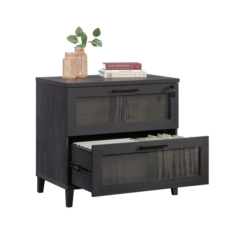 Aldrik 31.5'' Wide 2 -Drawer File Cabinet