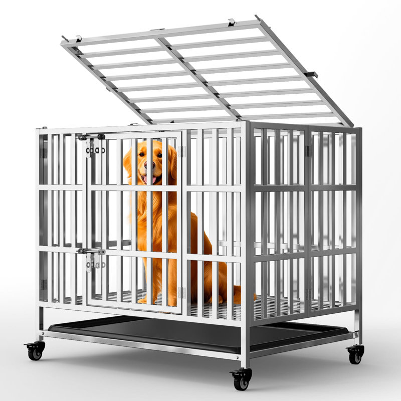 Stainless Steel Dog Cage & Playpen, Small (30.2" H x 35.2" W x 37" D)