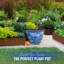 Pot Planter-2075768370