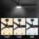 Granogue 52'' Ceiling Fan with LED Lights