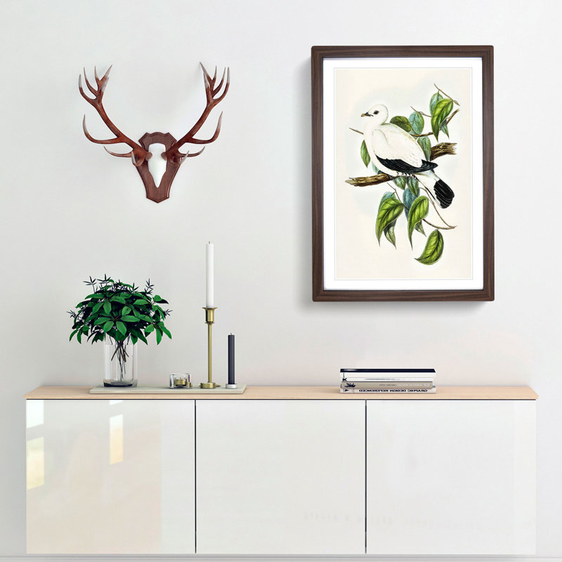 Torres Strait Fruit Pigeon by Elizabeth Gould - Picture Frame Painting Print, 48cm H x 36cm W x 2cm D, Walnut Framed