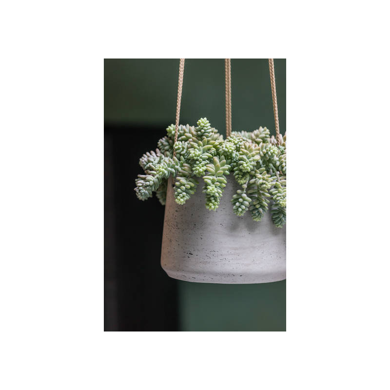 Gray Fiberstone Hanging Pot, Gray, 6" W x 6" D x 6" H