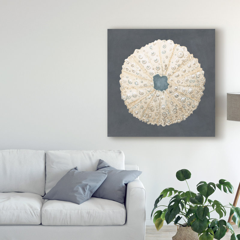 «Shell on Slate VII» par Megan Meagher - reproduction d'art sur toile, H 35 po x l 35 po x P 2 po