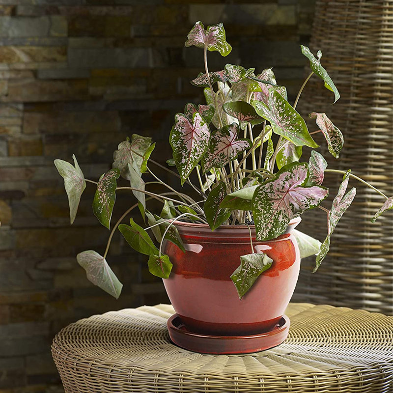 Handmade Ceramic Pot Planter